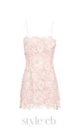 FREDA FLORAL LACE MINI DRESS IN PINK