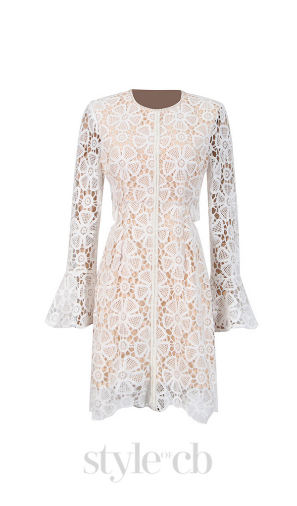 Embroidered hollow mini dress in white