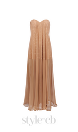 Thea Strapless Mesh Backless maxi Dress in brown