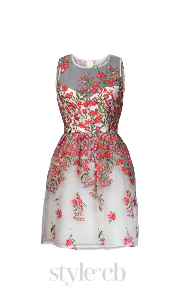 Embroidered Floral white Flare mini Dress