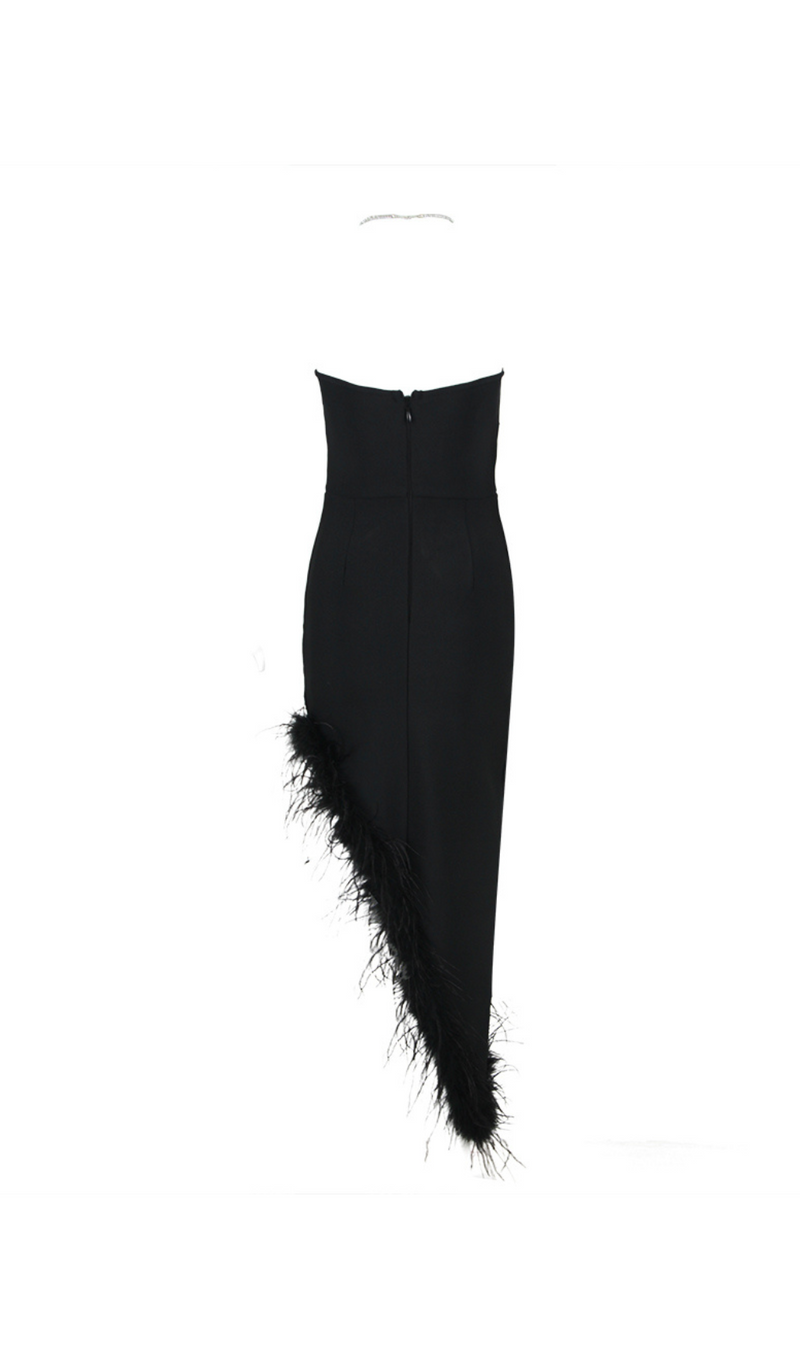 HALTER CRYSTAL FEATHER MAXI DRESS IN BLACK