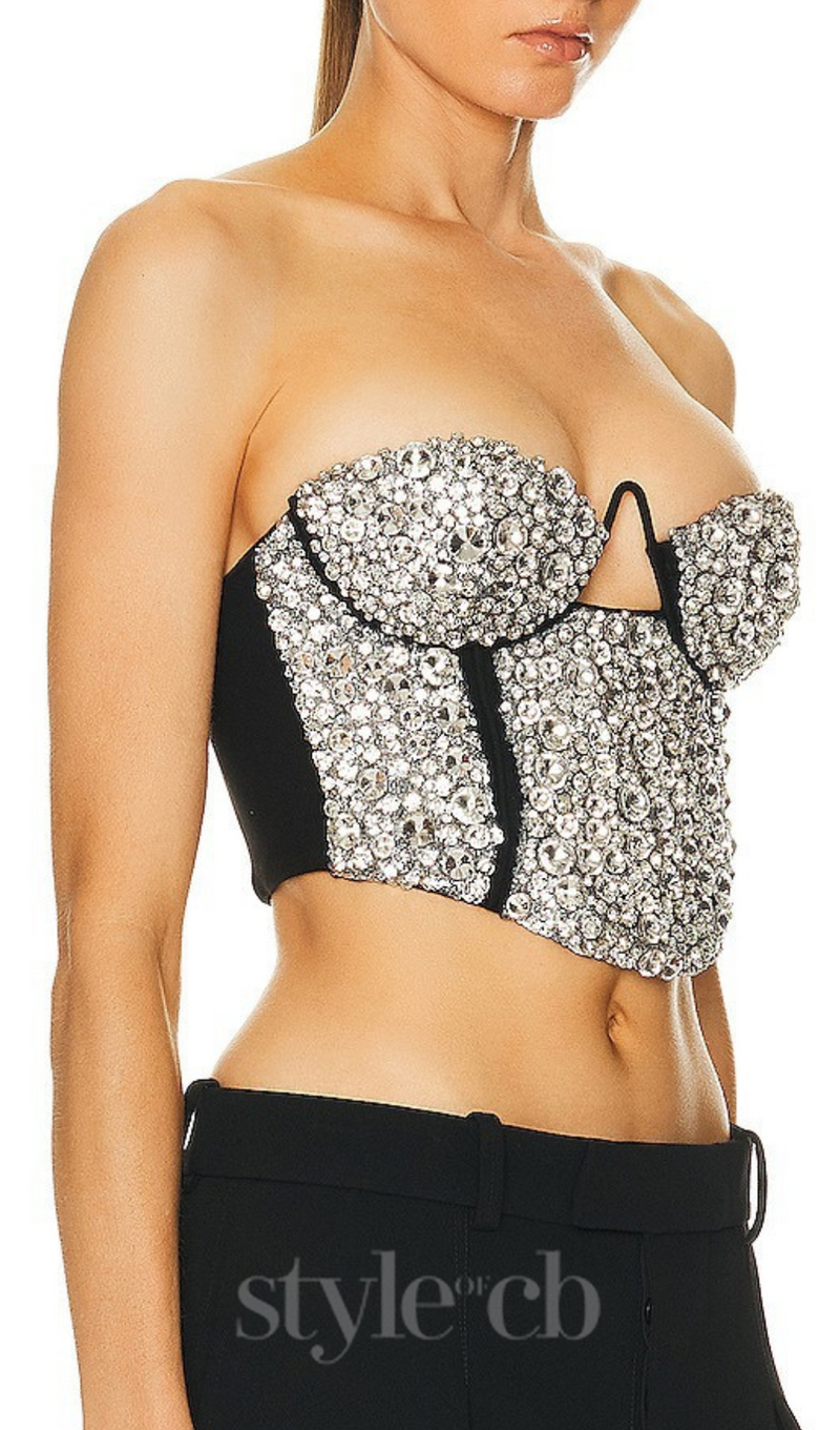 CRYSTAL EMBROIDERED BUSTIER TOP