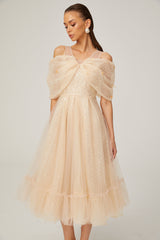 Danielle sequined tulle midi dress