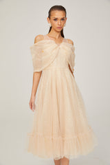 Danielle sequined tulle midi dress