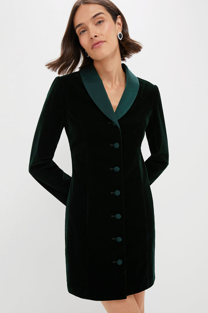 Dark Green Velvet Stacie Dress