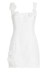 Dilanne Floral  Appliqué Mini Dress in White