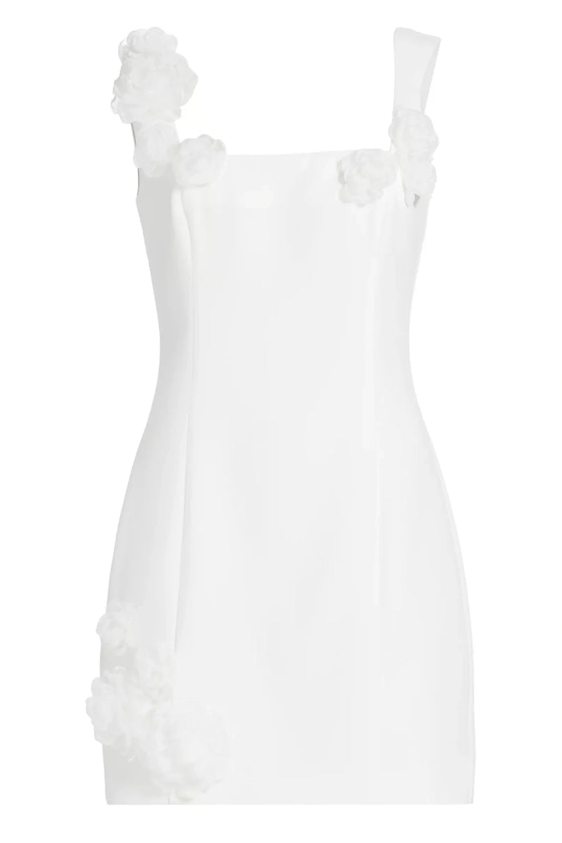 Dilanne Floral  Appliqué Mini Dress in White