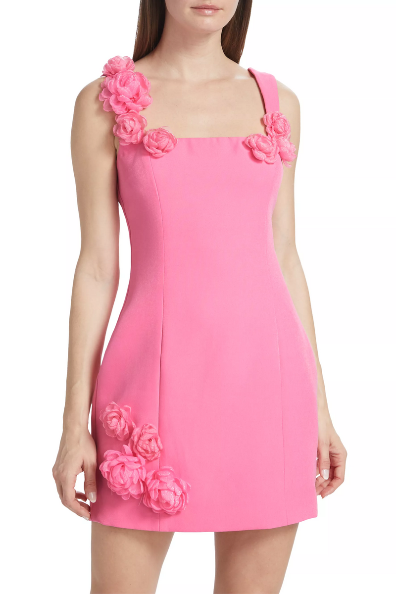 Dilanne Floral  Appliqué Mini Dress in Pink