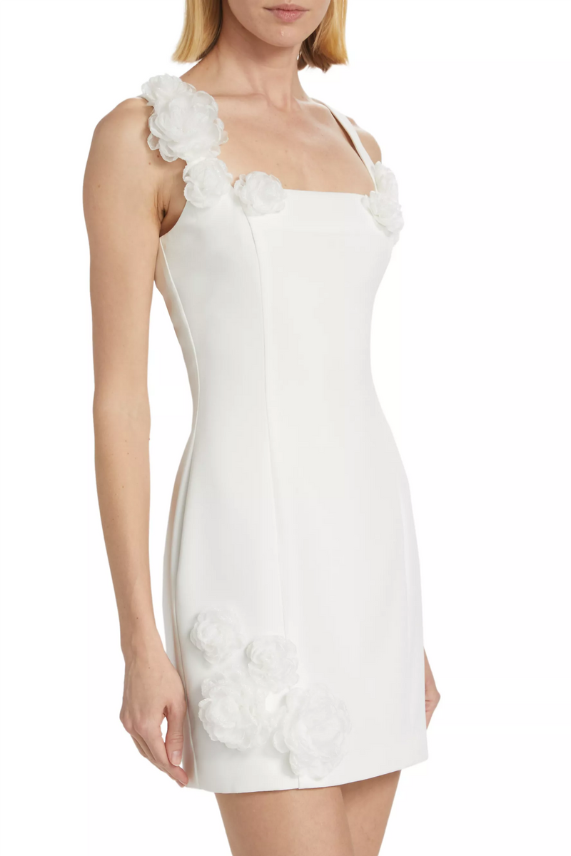 Dilanne Floral  Appliqué Mini Dress in White