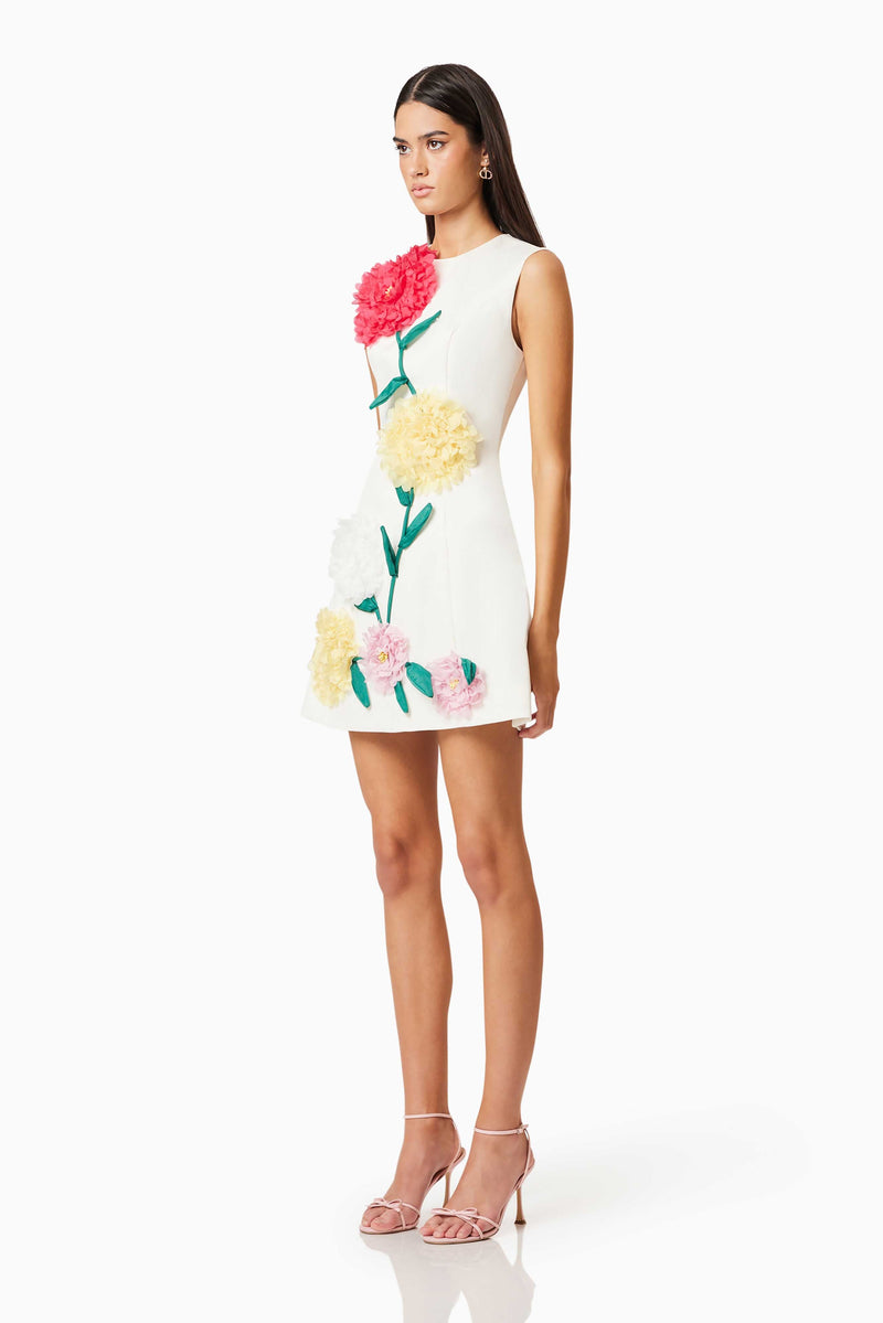 Buttercup Embroidered Mini Dress in Ivory