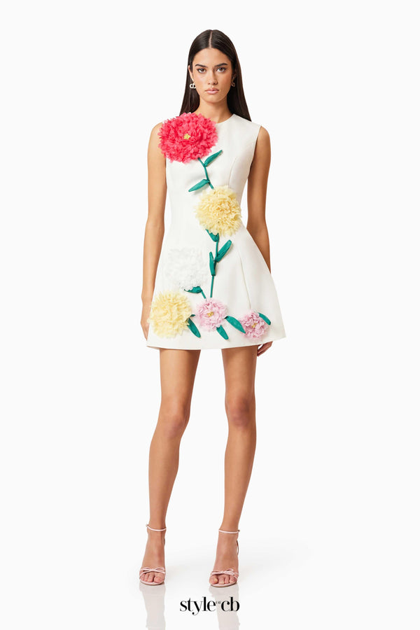 Buttercup Embroidered Mini Dress in Ivory