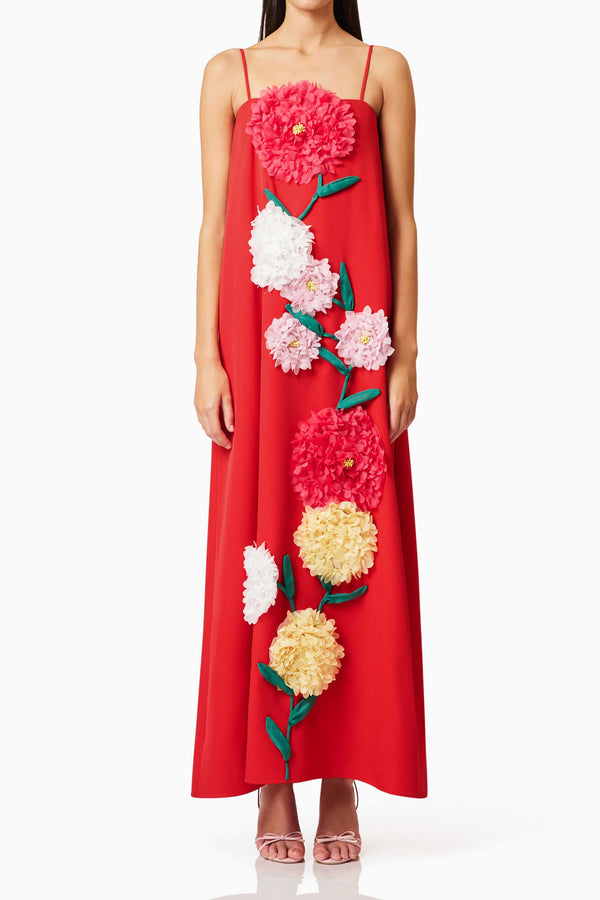 judy Buttercup Embroidered Maxi Dress In Red