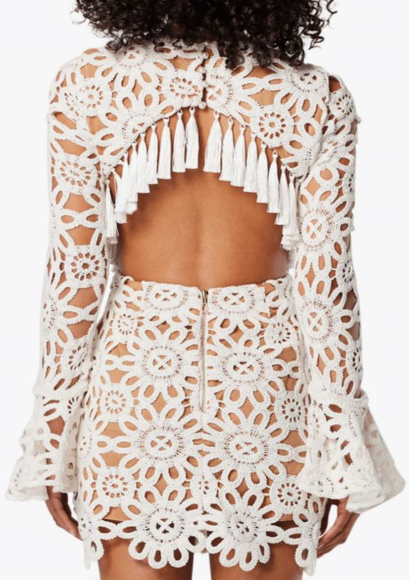 Embroidered hollow mini dress in white