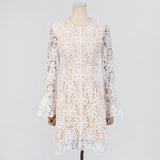 Embroidered hollow mini dress in white